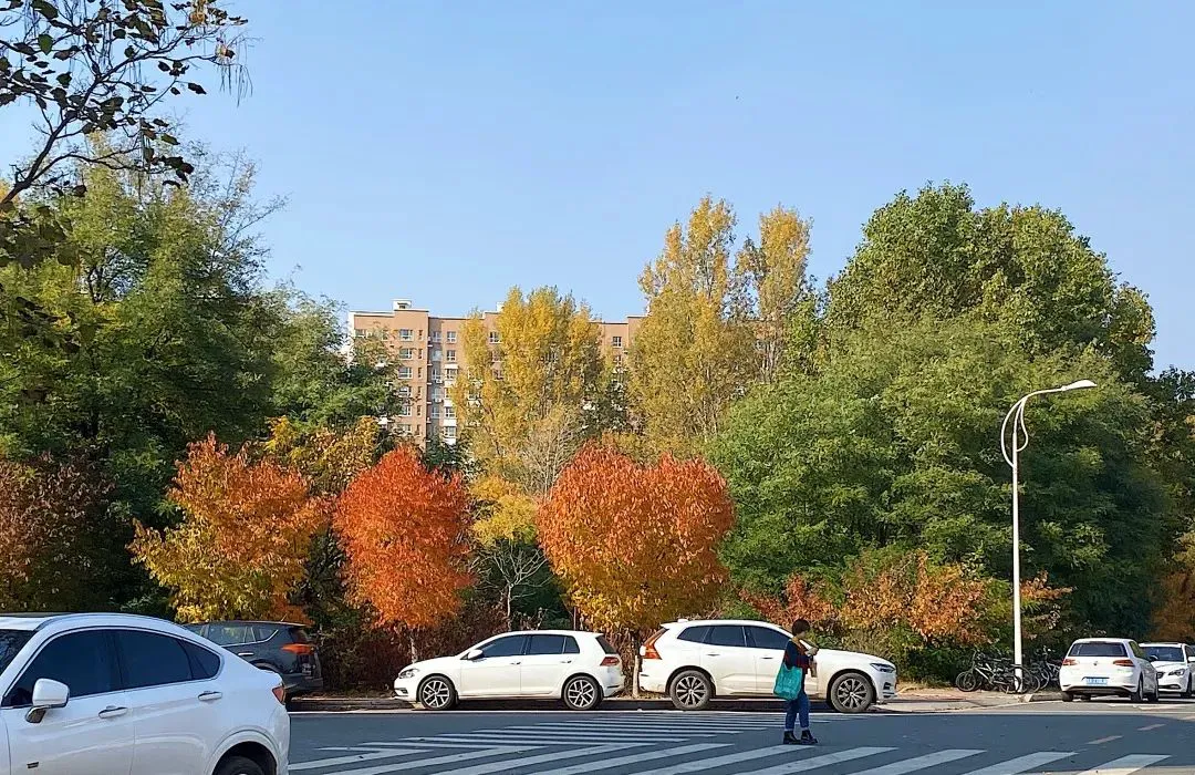信息化设备如何提高篮球训练中的反馈速度_0